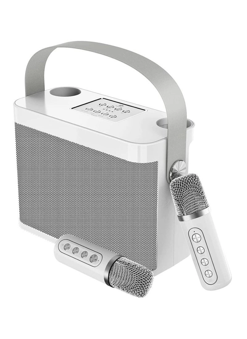 YS-219 - 2 Wireless Microphones