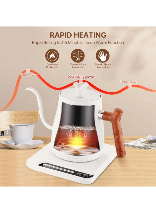 Gooseneck Stainless Electric Kettle