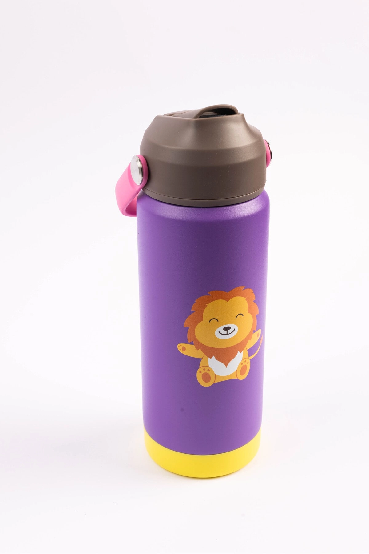 Nova Globus Insulated Water Bottle - 500 ml