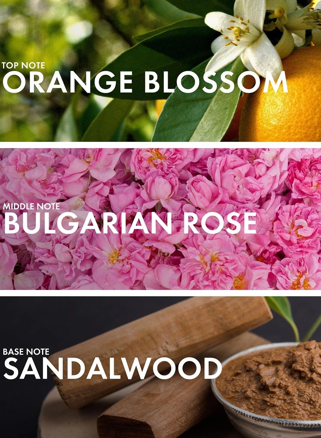 Blossom Vanilla Eau de Parfum 50 ml