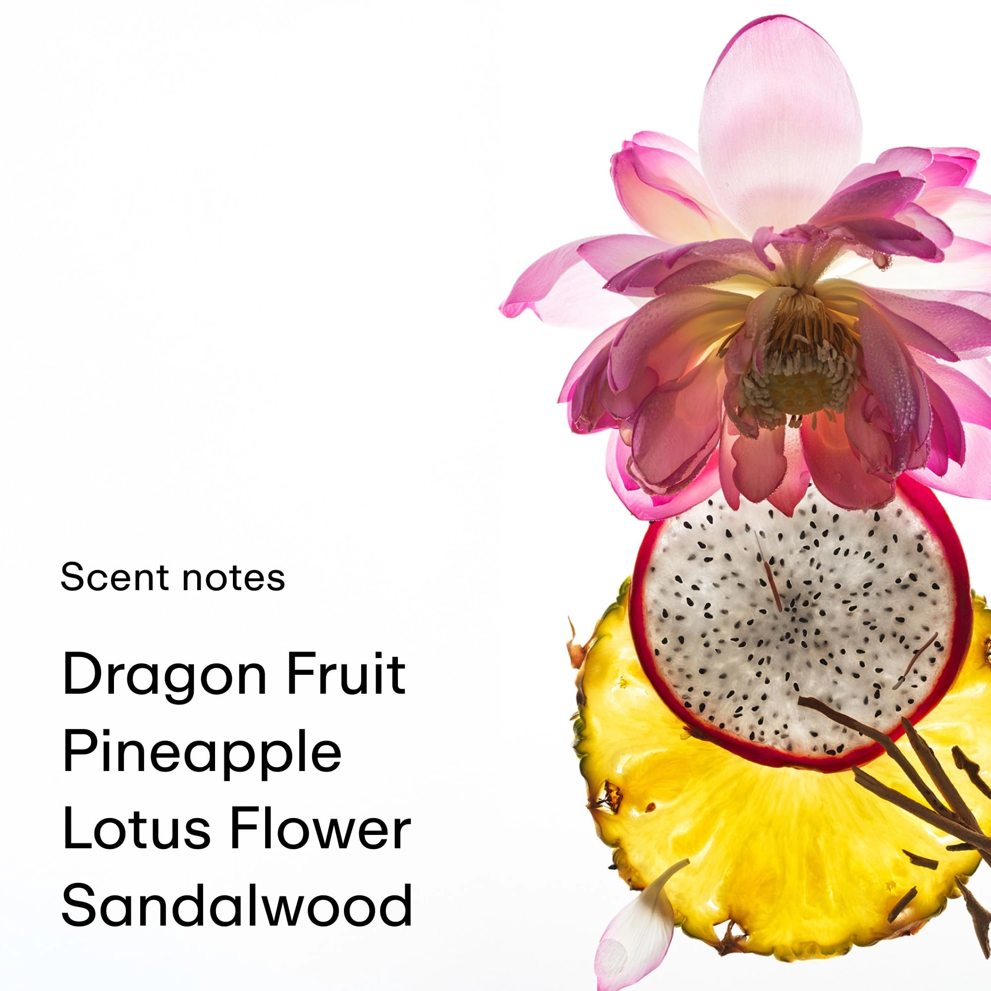 Dragon Fruit - 8 Fl Oz