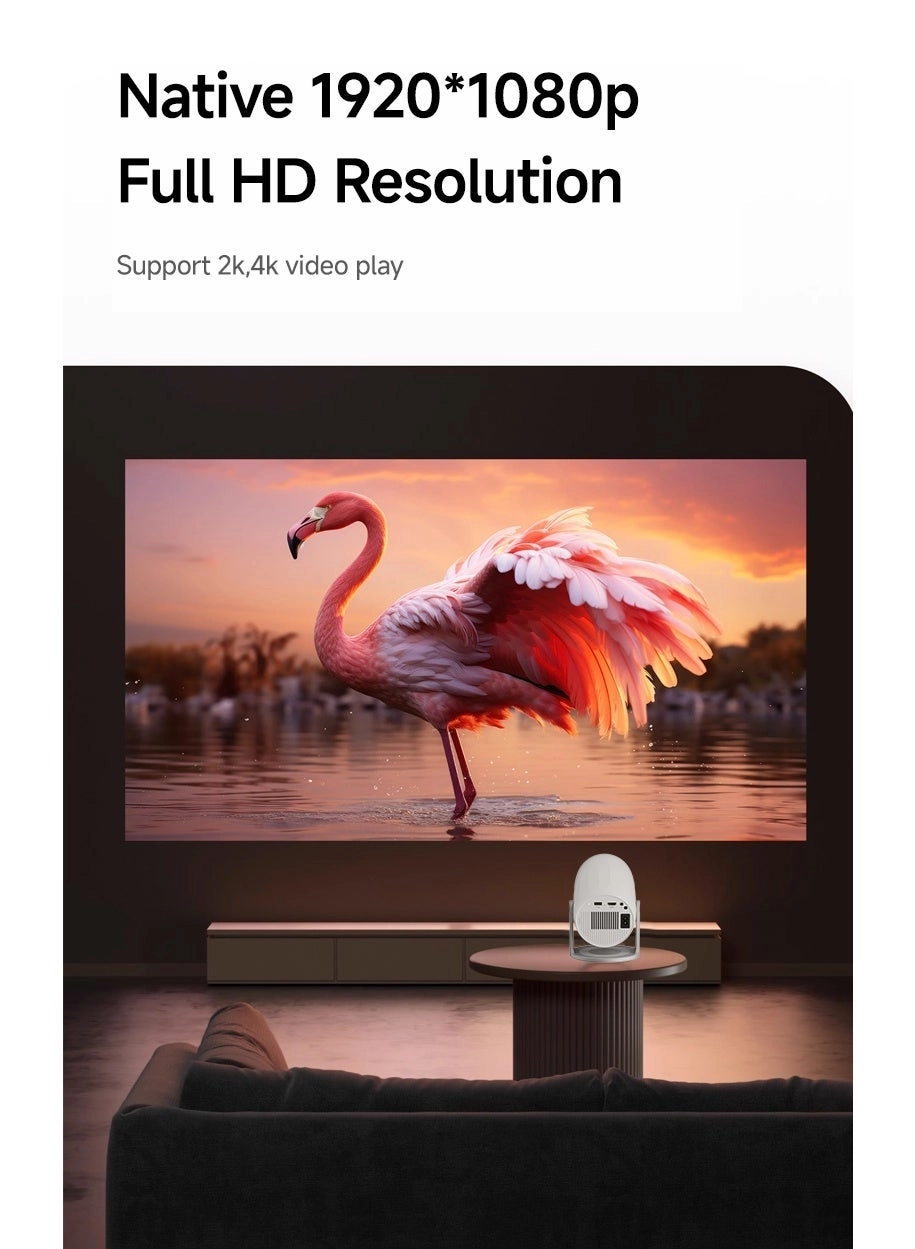 Xiaoxin 100M 680 ANSI Brightness