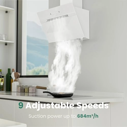 Inclined Extractor Hood - 684 m³/h 60 cm