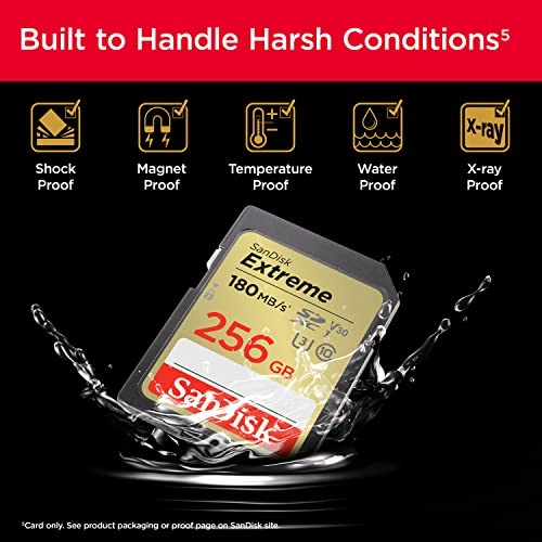 Extreme SDXC UHS-I 256GB 180 Mb/s