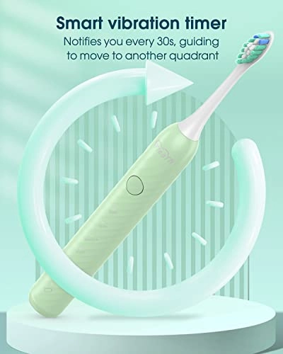 Y01 - 6 Brush Heads Type C 180 Days