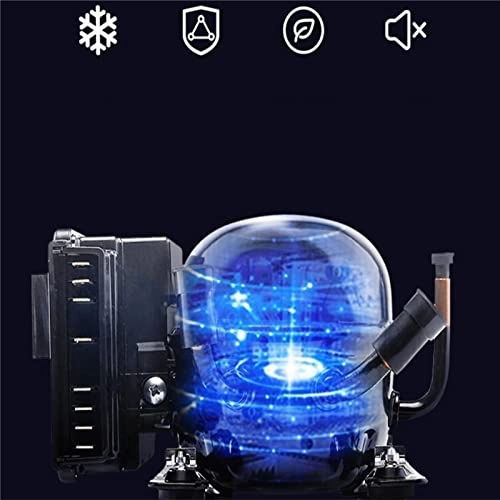 12V Compressor Portable Refrigerator