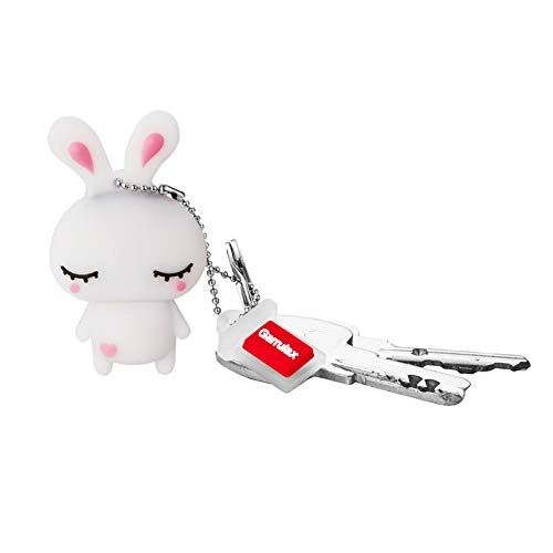 HU-XI-201 - USB 2.0 64GB