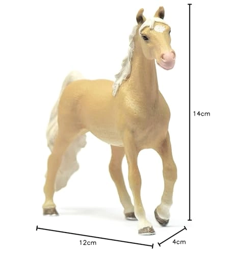 American Saddlebred Mare - 5yr(s)