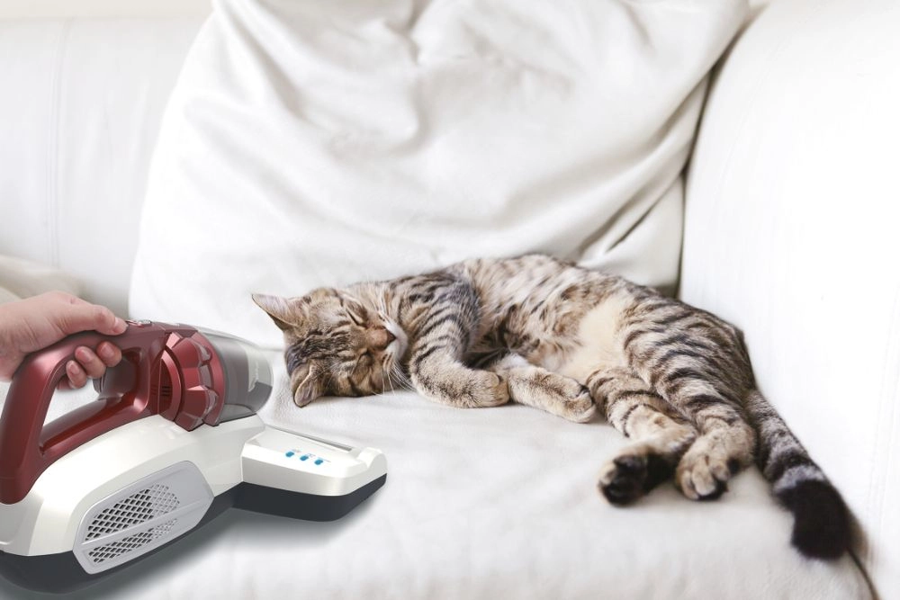 Handheld Vacuum Cleaner