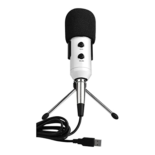 ss1/i47578 USB Microphone