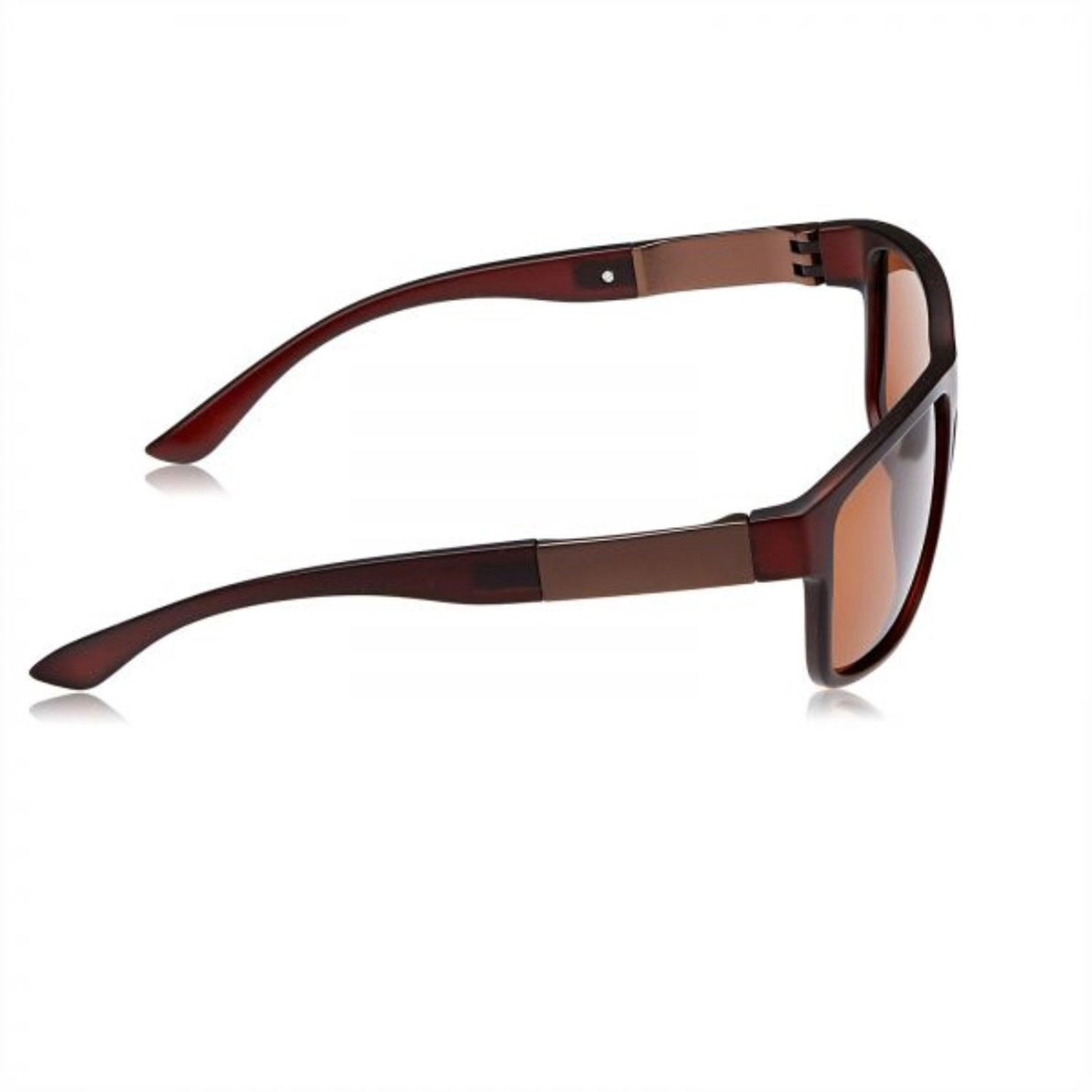 Wayfarer - 58-17-140 mm Brown
