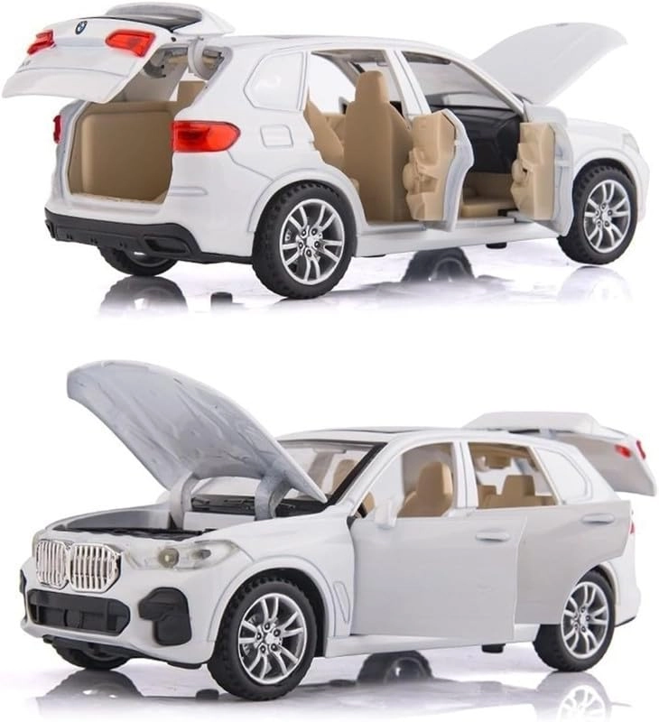 zhirk BMW X5 - 1.00 Count