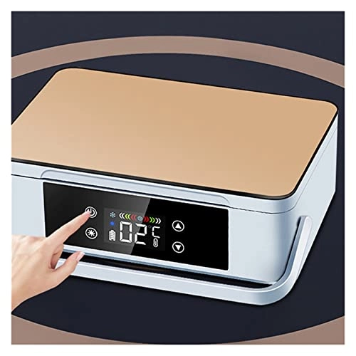 Insulin refrigerator - Two Battery Portable