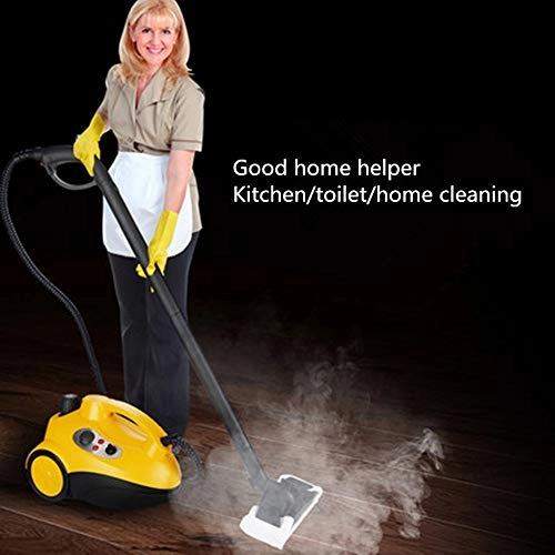 Steam Cleaner - 4.5 bar 2 Liters