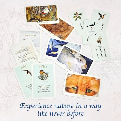 LOST SPELLS CARD GAME - 8+