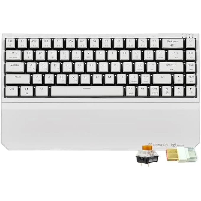 rayihni X1 PRO - Wired/Wireless