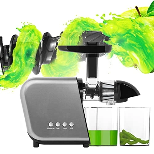 Slow Masticating Juicer - 250W 1300ml