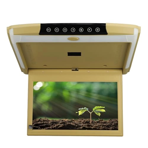 Car Overhead Display Screen - 11.6 inch