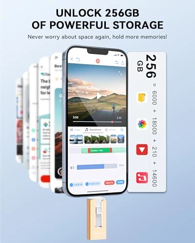 USB Stick - USB 3.0 256GB