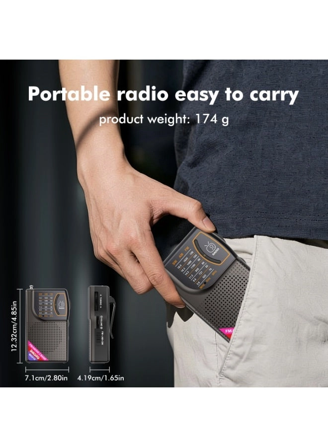 Multiband Radio - Portable