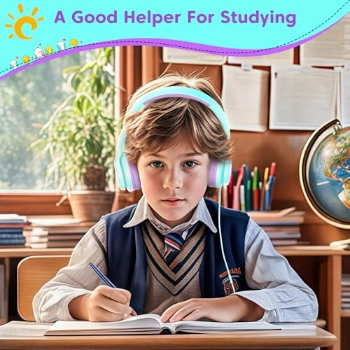 BH123A Wired Headphone