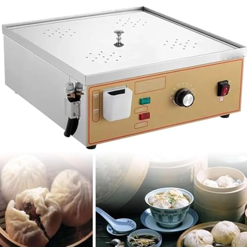 Electric Steamer
