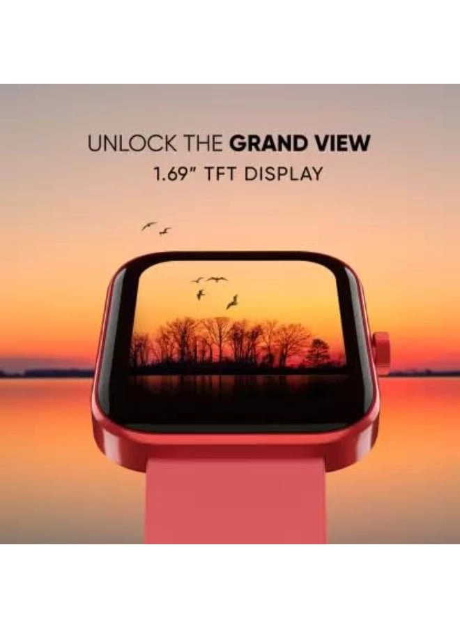 (Renewed) MODEL E Metal GPS