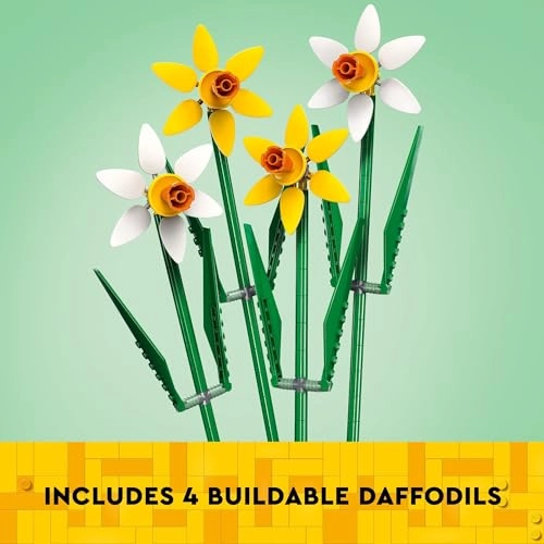 Daffodils (40747) - Multicolor Ages 8+