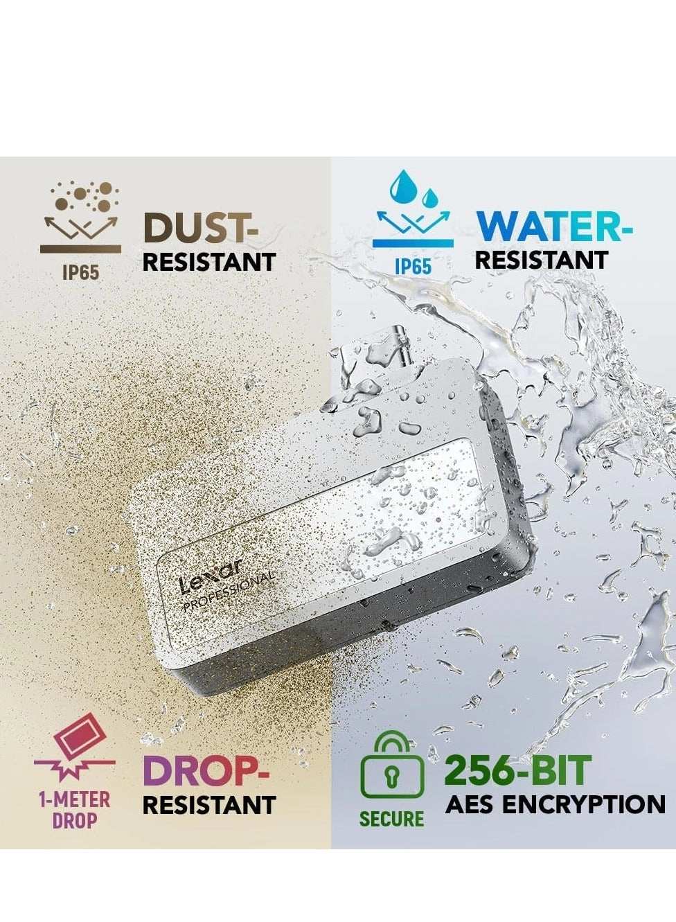 Professional Go Portable SSD With Hub - 2TB
