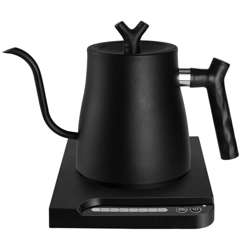 Gooseneck Electric Kettle