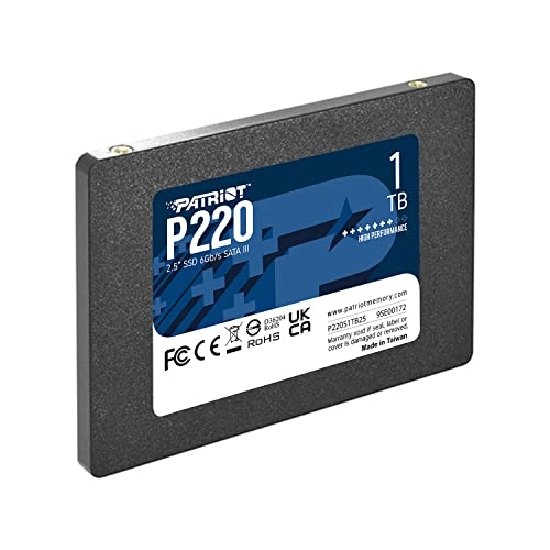 P220 - 1 TB 2.5-inch