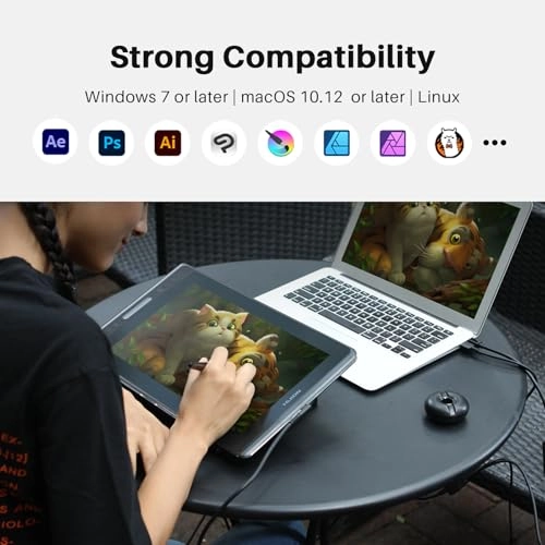 KAMVAS Pro 13 - 8192 Levels