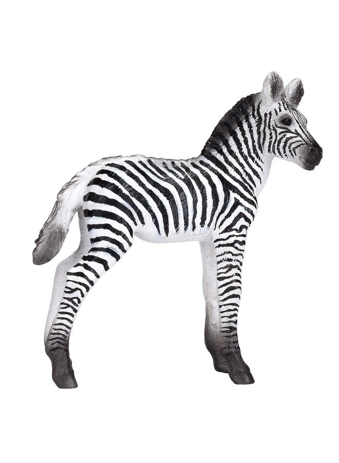 MOJO International Wildlife - Zebra Foal