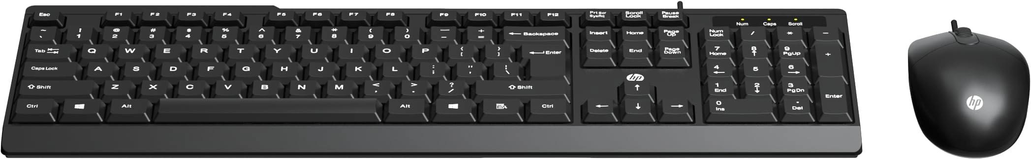 HP, HP India Sales Pvt. Ltd. KM120 - QWERTY Wired