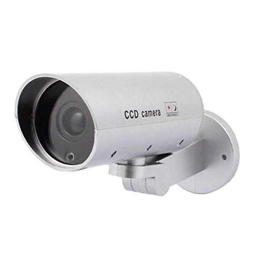 Dome - indoors and outdoors