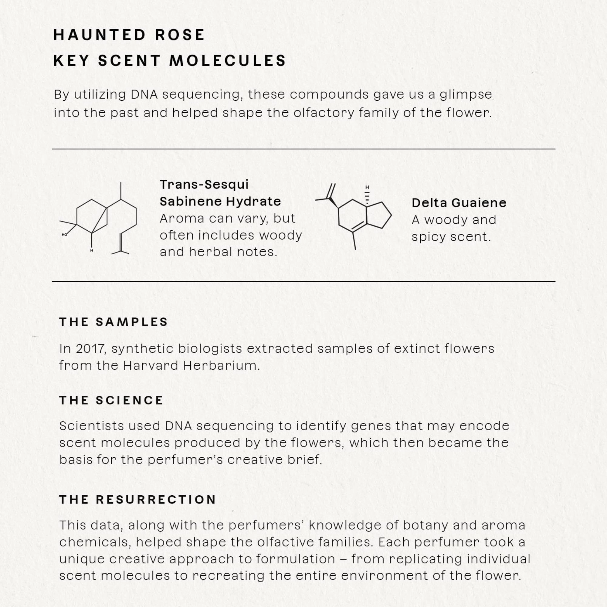 Haunted Rose Eau de Parfum 9.5ml