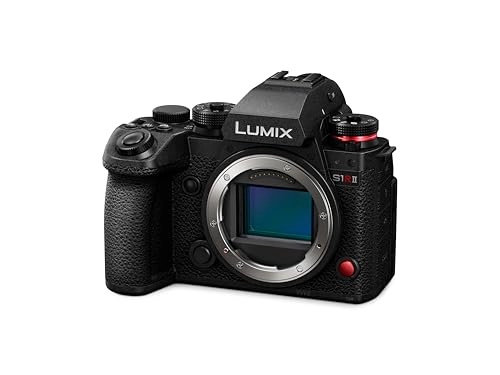 LUMIX S1