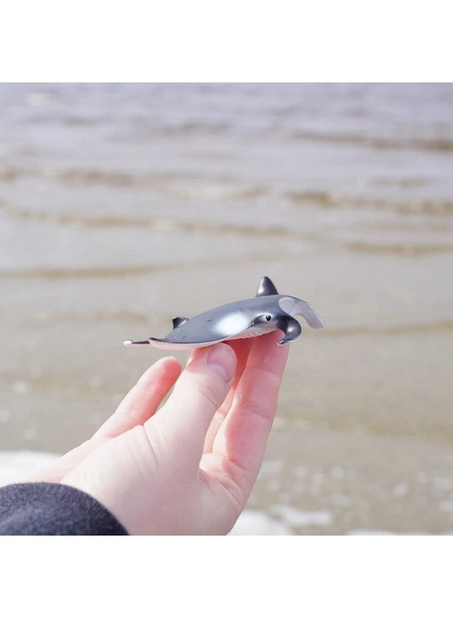 Sea Creature - Manta Ray