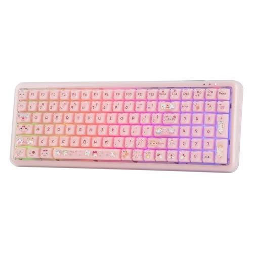 X100 PRO - US Wired/Wireless