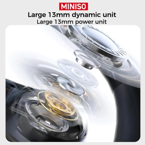 MS203 Wireless Earbud