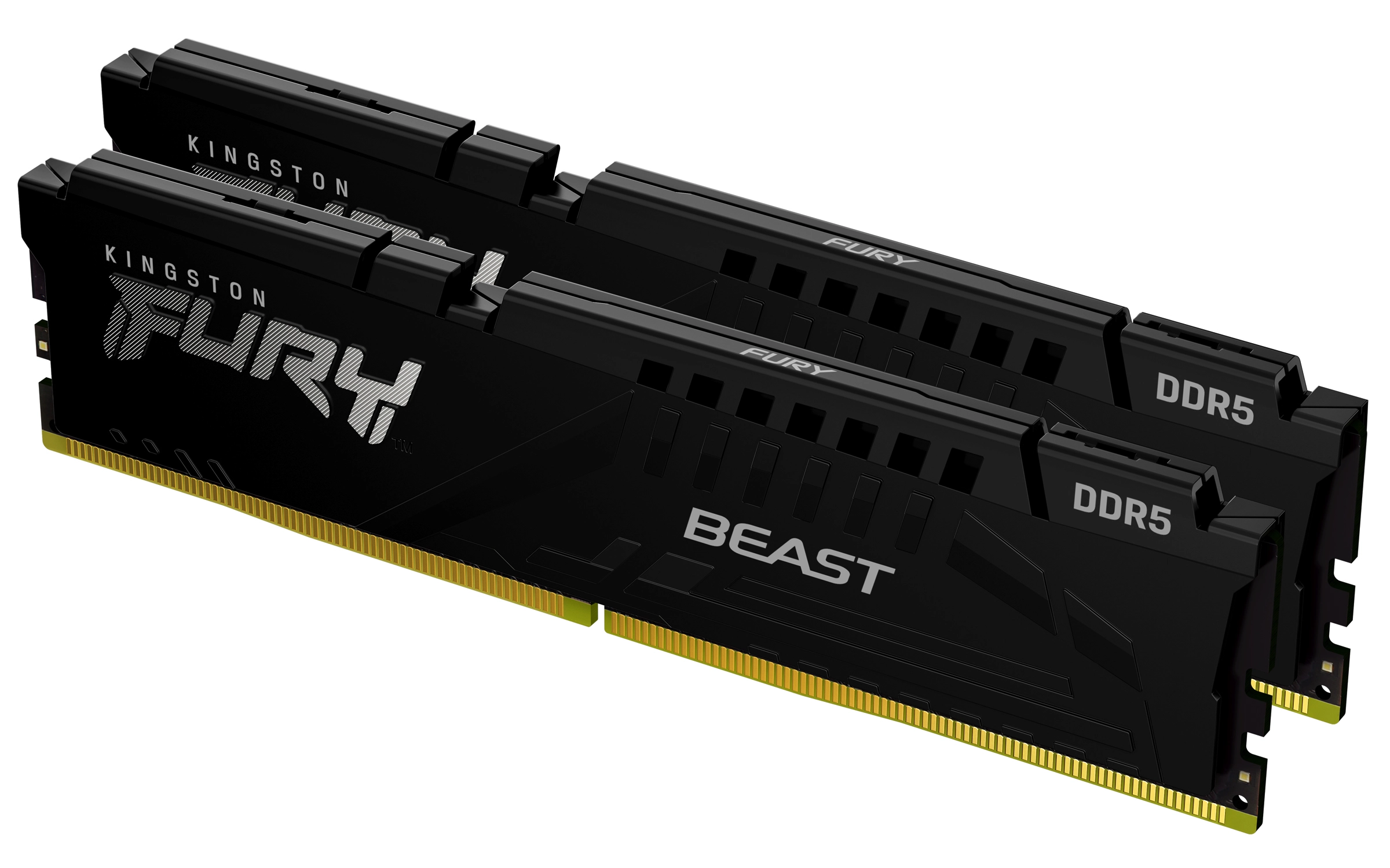 Fury Beast - 64GB 5600MT/s DIMM DDR5