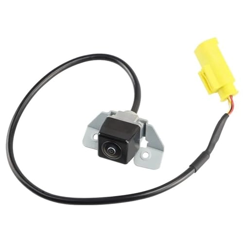 Rear View Camera - Night vision