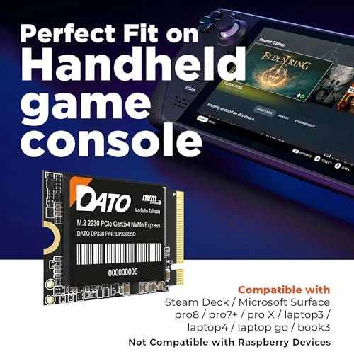 DP330 - 1 TB M.2 2230