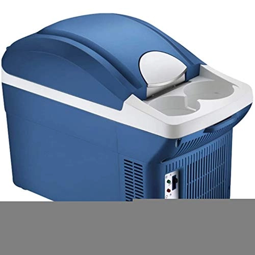 Portable Car Mini Refrigerator - 12V 24V 220V