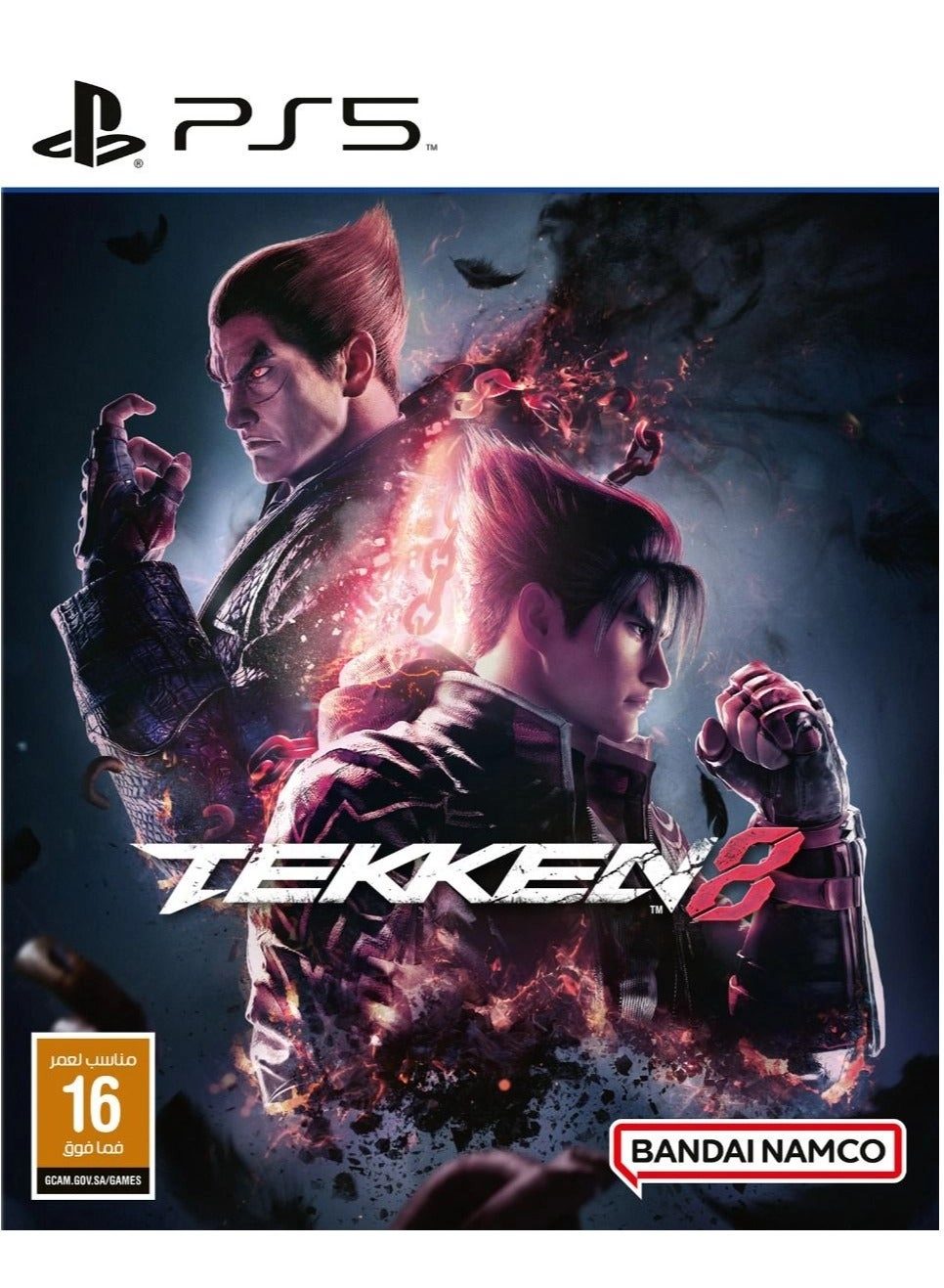 PlayStation 5 Disc - Extra White Controller Tekken 8