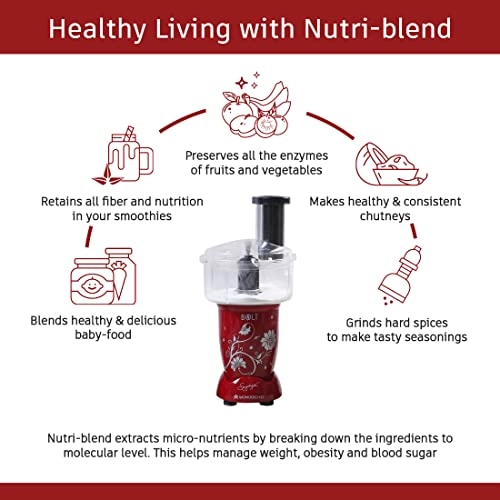 Nutri-blend BOLT - 500ml 300ml 600 watts
