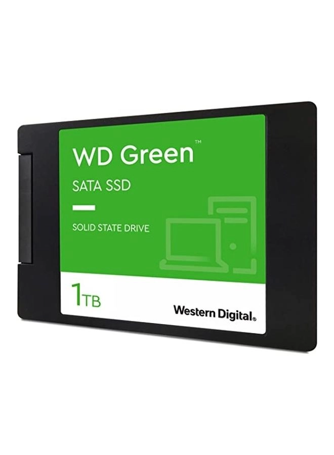 WDS100T3G0A - 1 TB 2.5/7mm