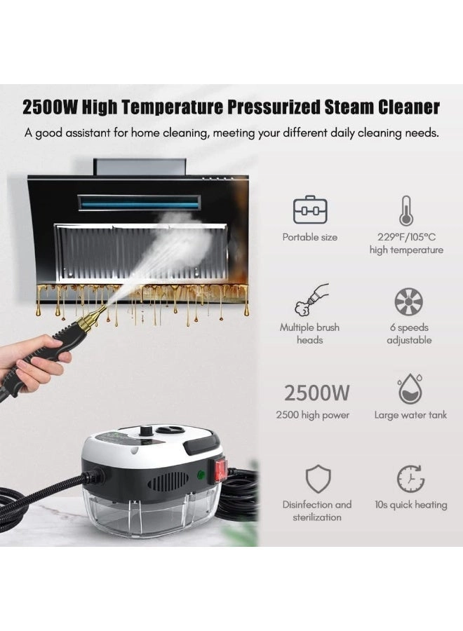 Handheld Steam Cleaner