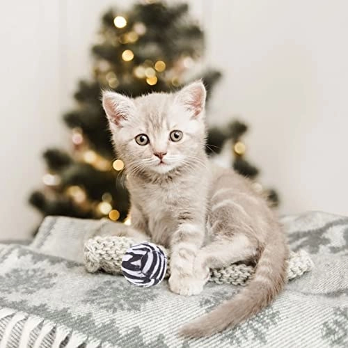 Cat Toy Ball - 12 months - 17 years