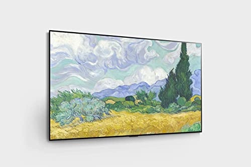 OLED65G1PVA-SA - 65 inch